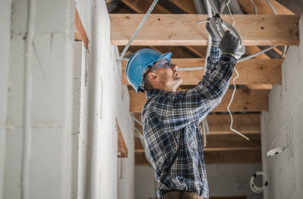 Best Electrician for Home Renovation  in Red Bud, IL