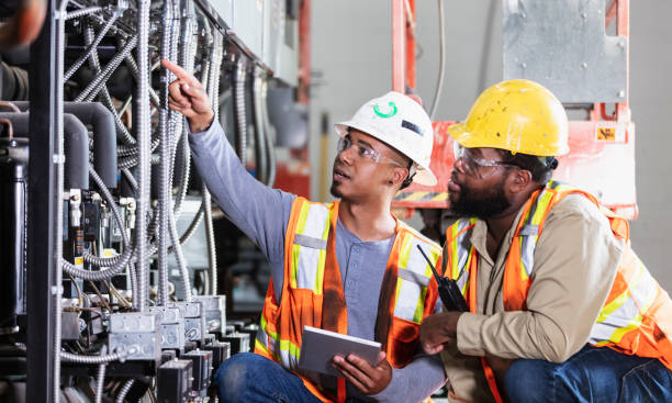 Best Electric Panel Repair  in Red Bud, IL