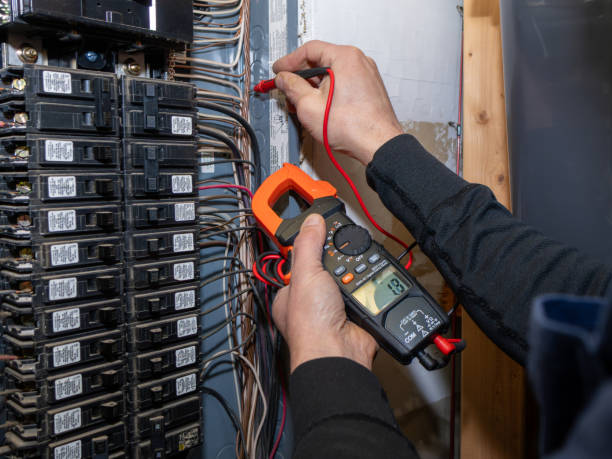 Best Electrical Repair Services  in Red Bud, IL