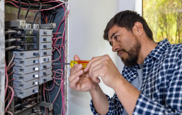 Best Generator Installation Services  in Red Bud, IL